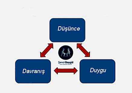 bilissel-davranisci-terapi