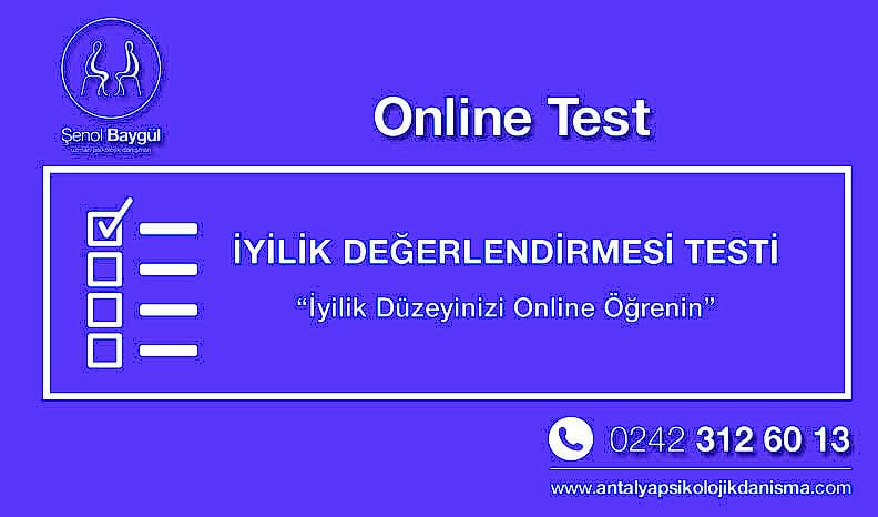 online iyilik değerlendirme testi, psikolojik test